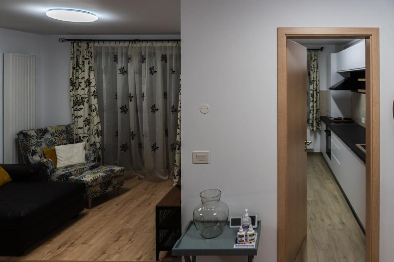 Condmari Vip * Braşov